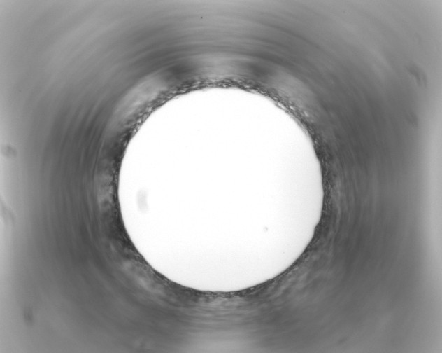 X0000091350824200708101035