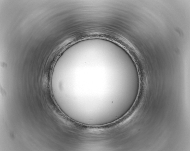 X0000091350825200708101035