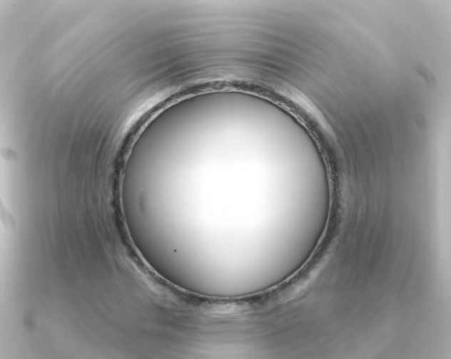 X0000091350826200708101035