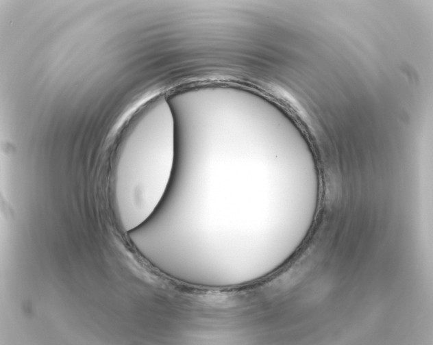 X0000091350827200708101035