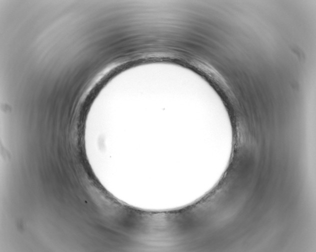 X0000091350828200708101035