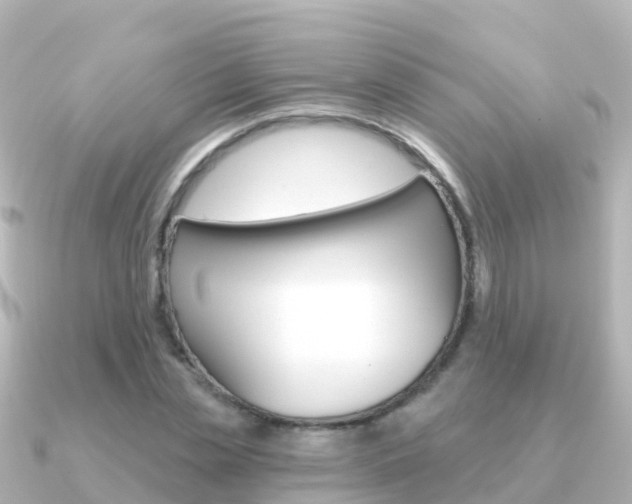 X0000091350829200708101035