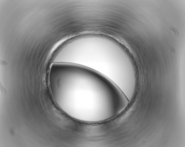 X0000091350830200708101035