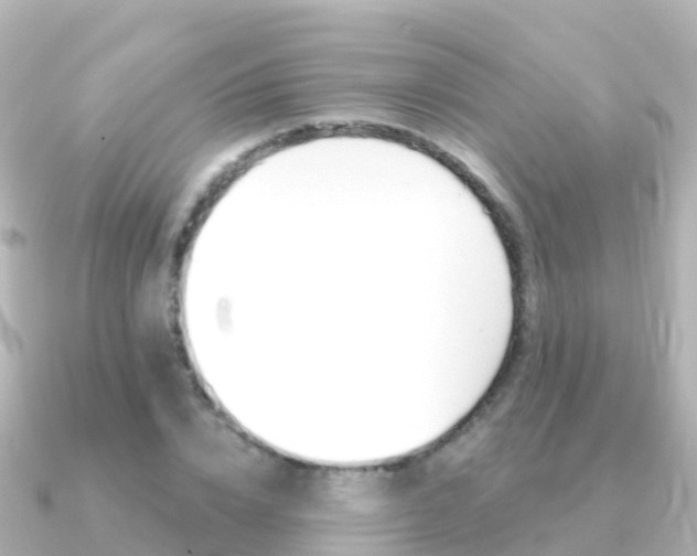 X0000091350832200708101035