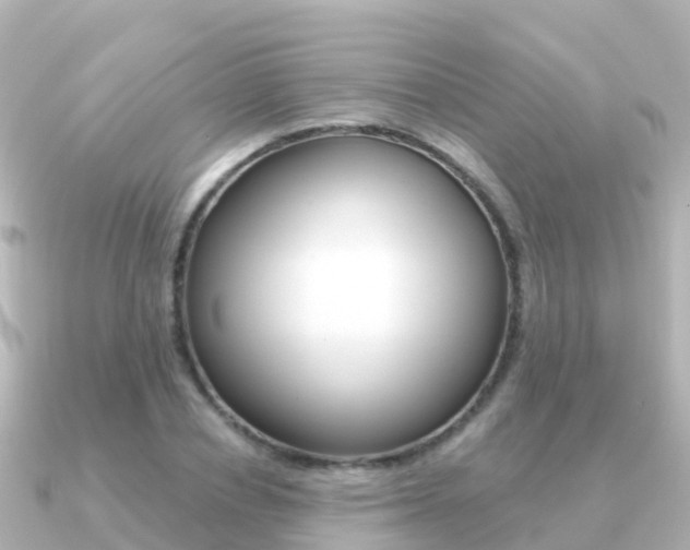 X0000091350834200708101035