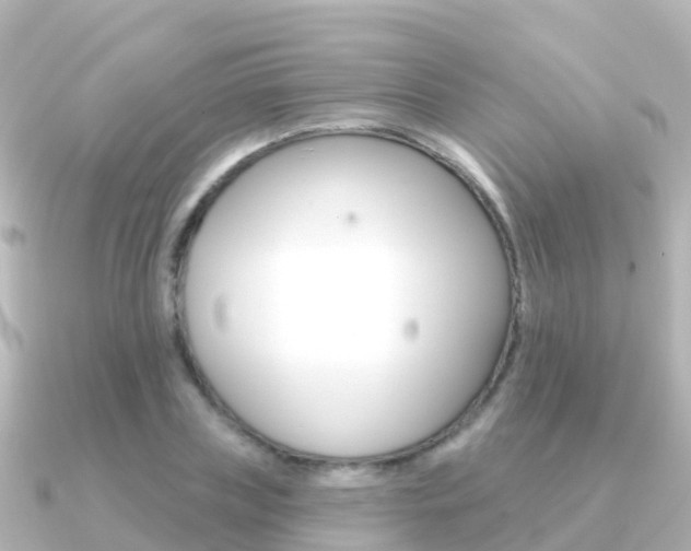 X0000091350835200708101035