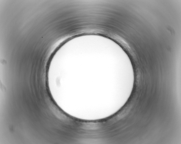 X0000091350836200708101035