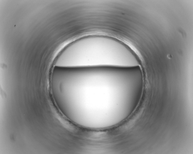 X0000091350837200708101035
