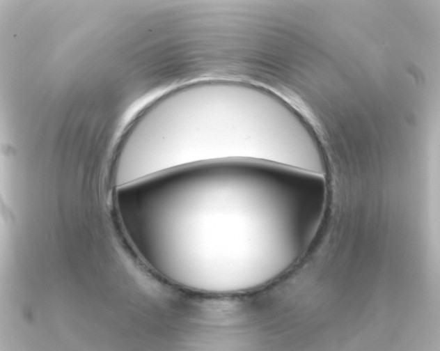 X0000091350838200708101035