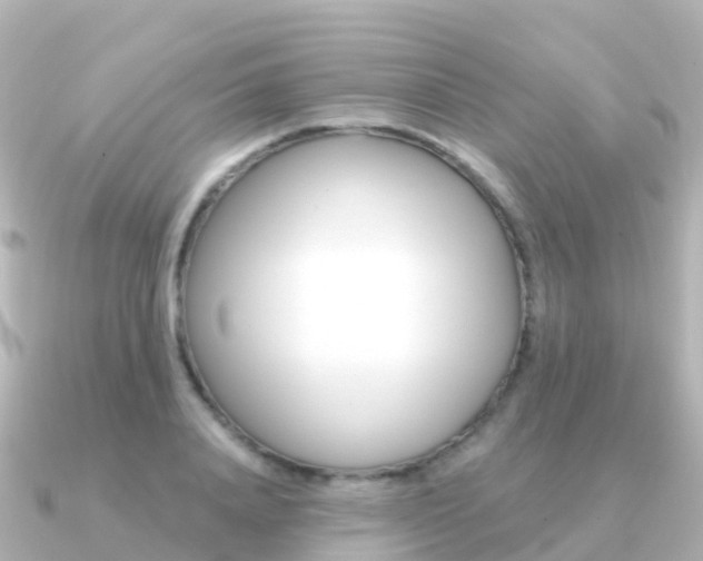 X0000091350840200708101035