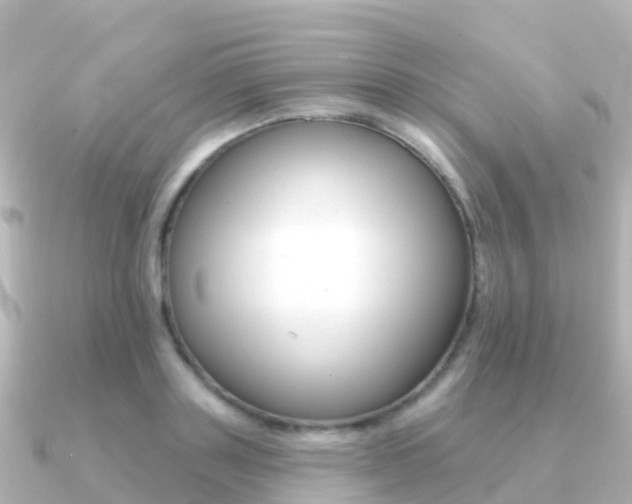 X0000091350843200708101035