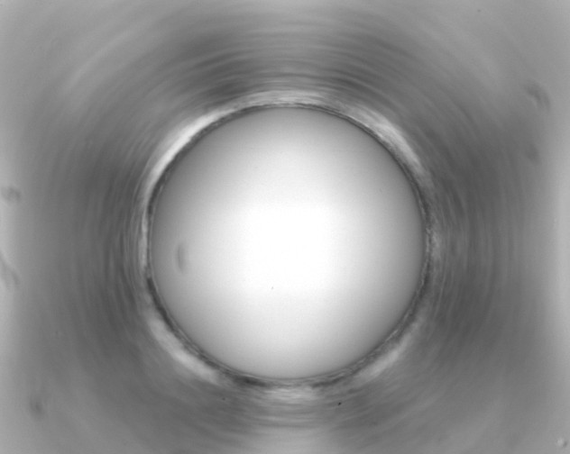 X0000091350844200708101035