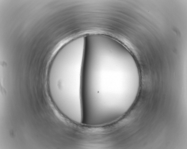X0000091350845200708101035