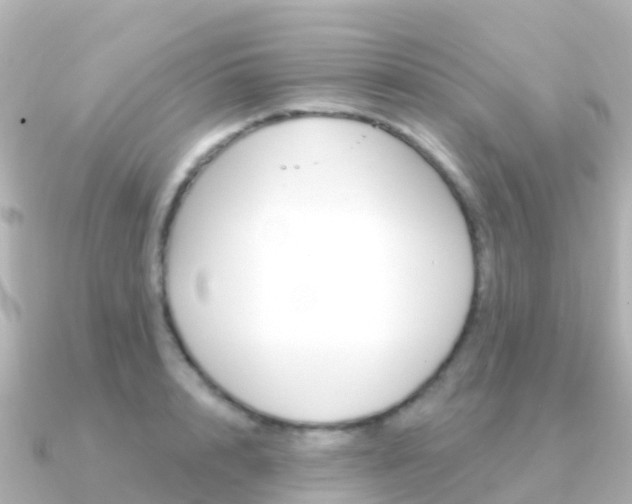 X0000091350848200708101035