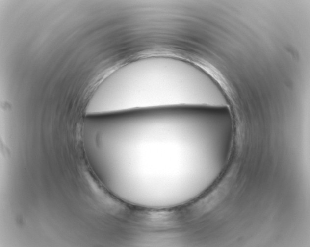 X0000091350849200708101036