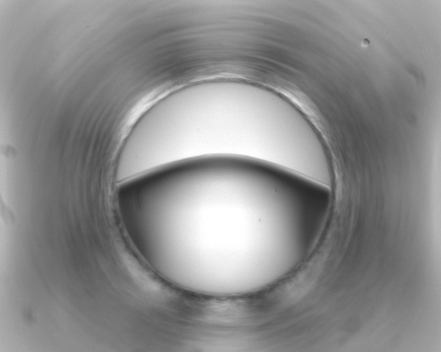 X0000091350850200708101036