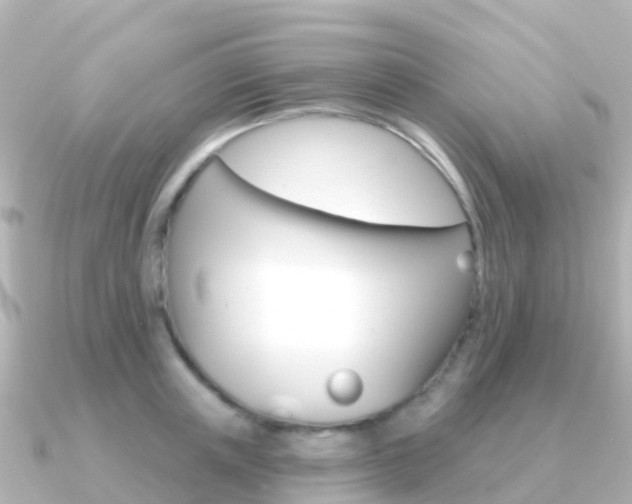 X0000091350851200708101036