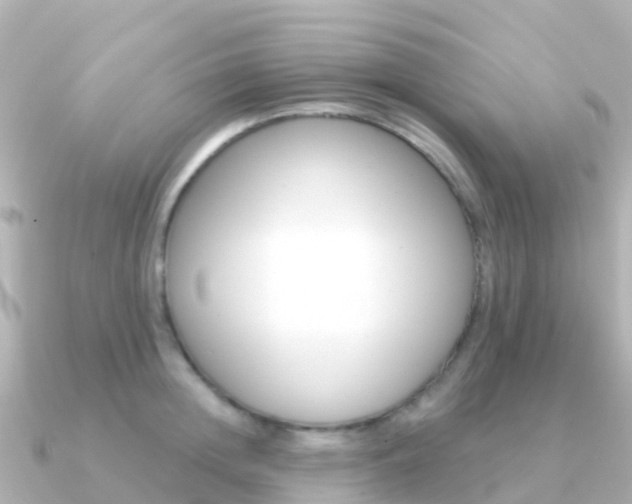 X0000091350852200708101036