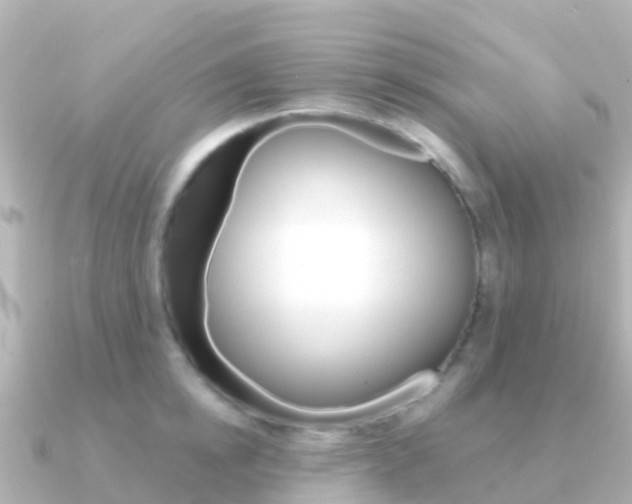 X0000091350854200708101036