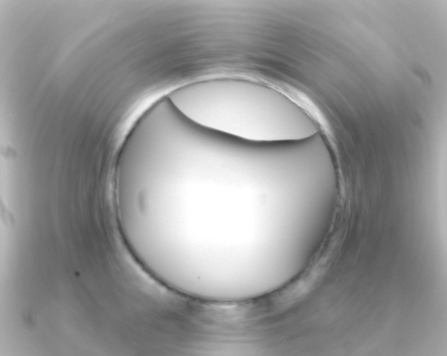 X0000091350855200708101036