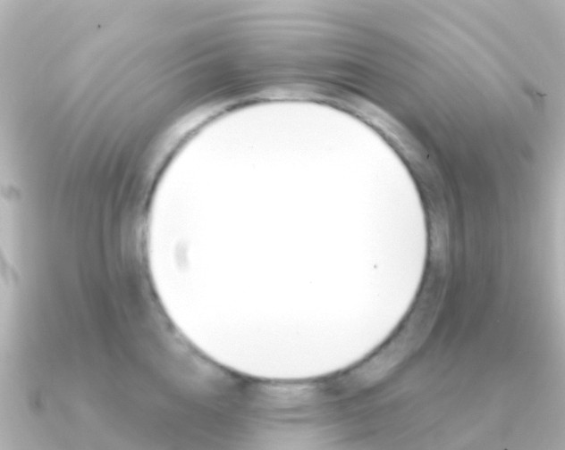 X0000091350856200708101036