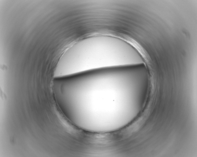 X0000091350857200708101036