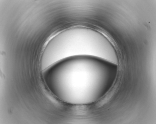 X0000091350858200708101036