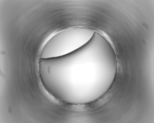 X0000091350859200708101036