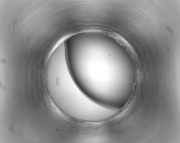 X0000091350860200708101036