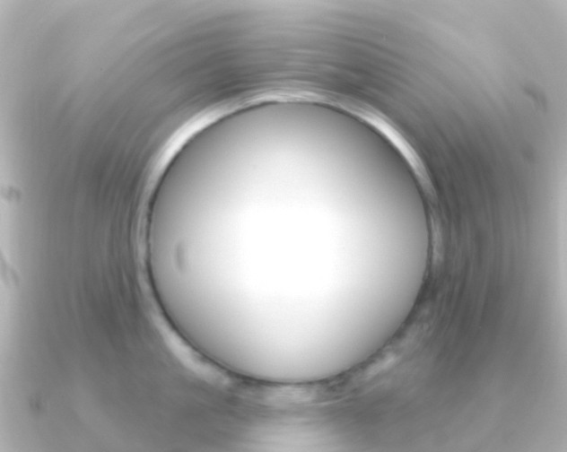 X0000091350861200708101036