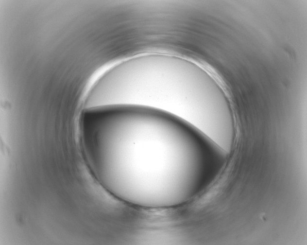 X0000091350862200708101036