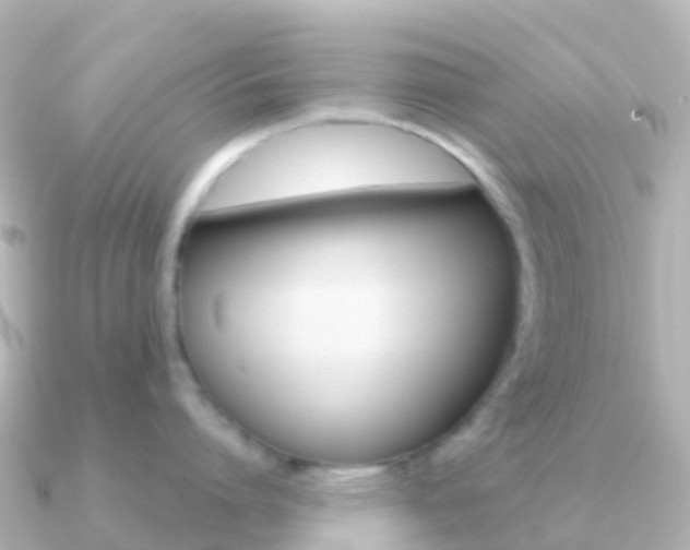 X0000091350864200708101036