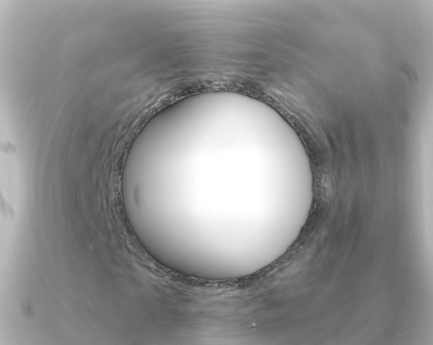 X0000091350865200708101035