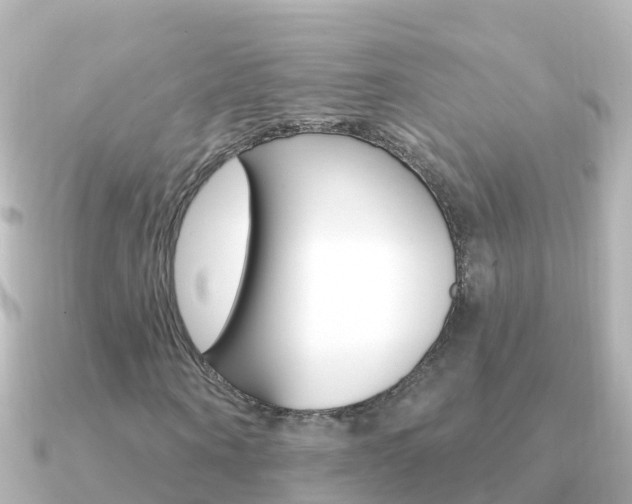 X0000091350866200708101035