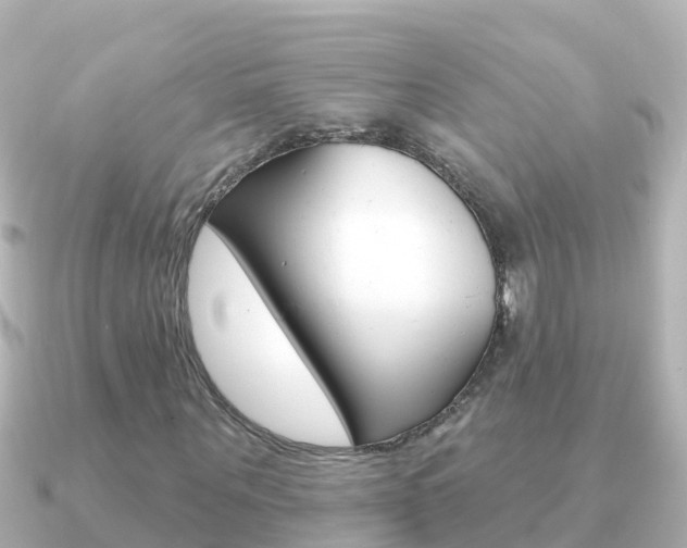 X0000091350867200708101035