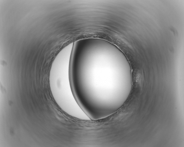 X0000091350868200708101035