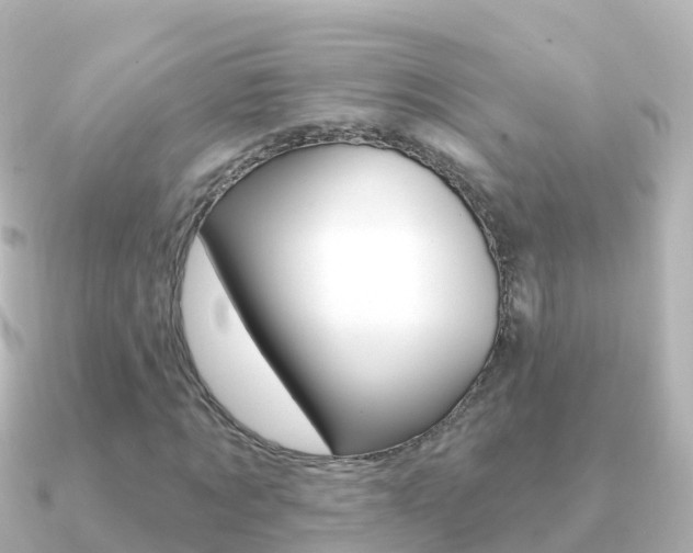X0000091350869200708101035