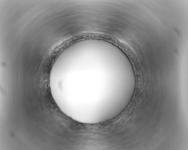 X0000091350870200708101035