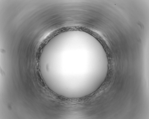 X0000091350871200708101035