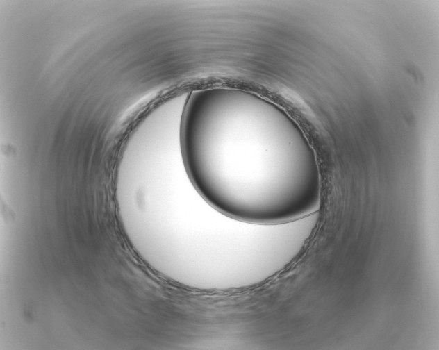 X0000091350872200708101035