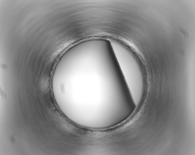 X0000091350873200708101035