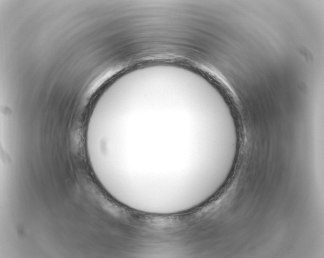 X0000091350874200708101035