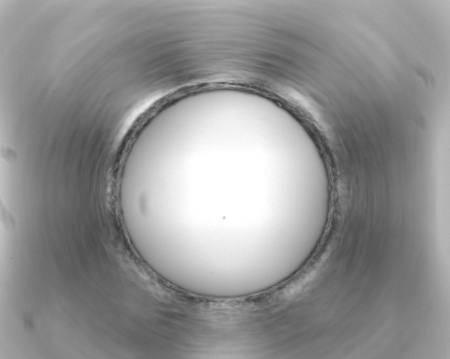 X0000091350875200708101035