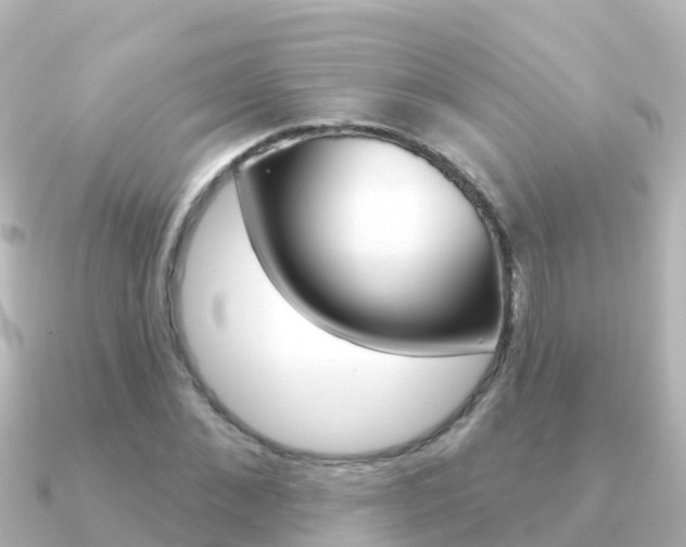 X0000091350876200708101035