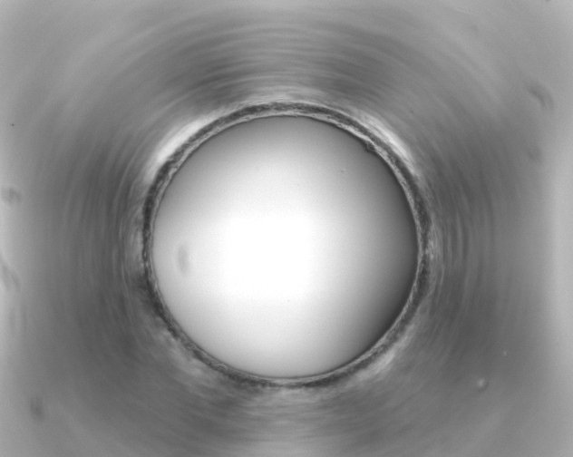 X0000091350877200708101035