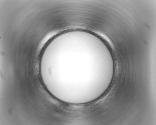 X0000091350878200708101035