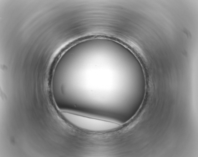 X0000091350880200708101035