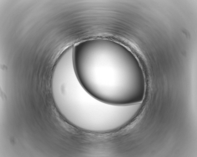 X0000091350881200708101035