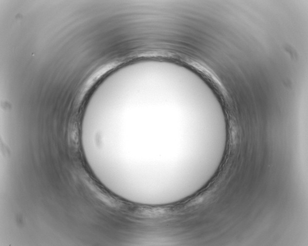 X0000091350882200708101035