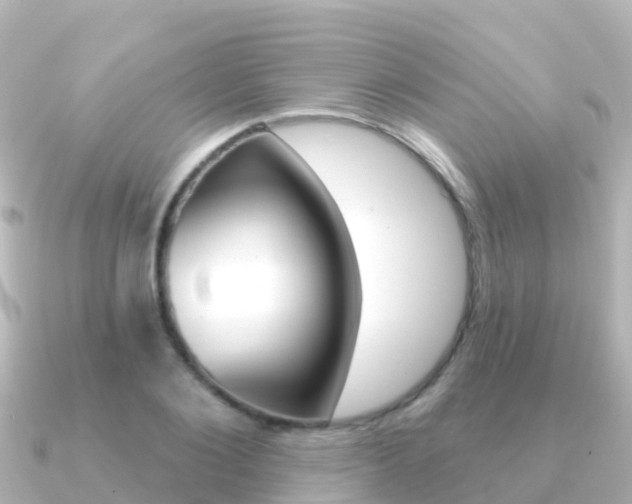 X0000091350884200708101035